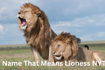 name that means lioness nyt